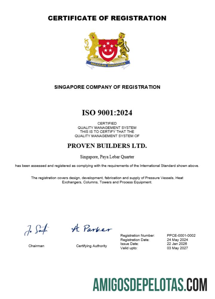 Certificado de registro comercial de Cingapura para impressão, modelo Word e PDF